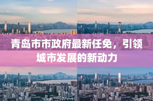 青島市市政府最新任免，引領(lǐng)城市發(fā)展的新動力
