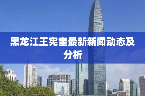 黑龍江王憲奎最新新聞動態(tài)及分析