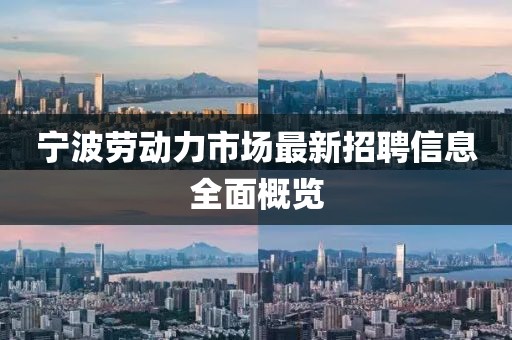 寧波勞動力市場最新招聘信息全面概覽