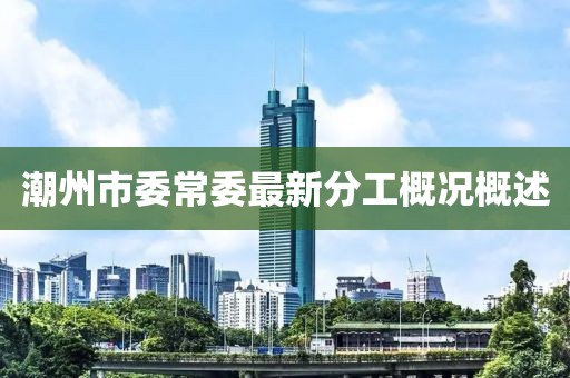 潮州市委常委最新分工概況概述