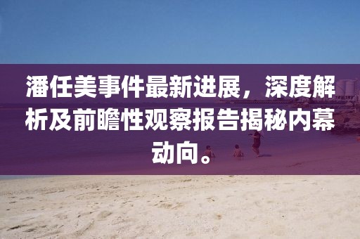潘任美事件最新進(jìn)展，深度解析及前瞻性觀察報(bào)告揭秘內(nèi)幕動向。