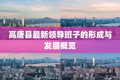 高唐縣最新領導班子的形成與發(fā)展概覽