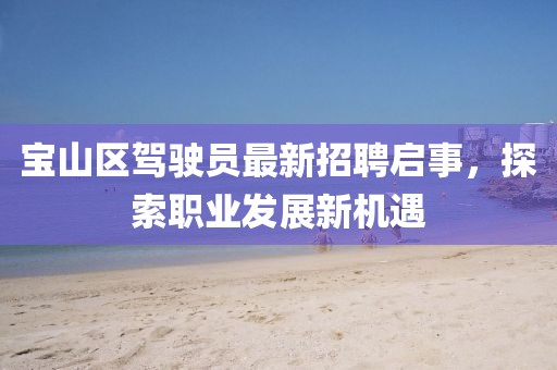 寶山區(qū)駕駛員最新招聘啟事，探索職業(yè)發(fā)展新機(jī)遇