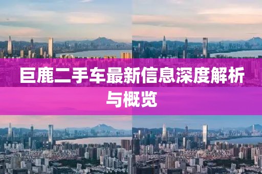 巨鹿二手車最新信息深度解析與概覽