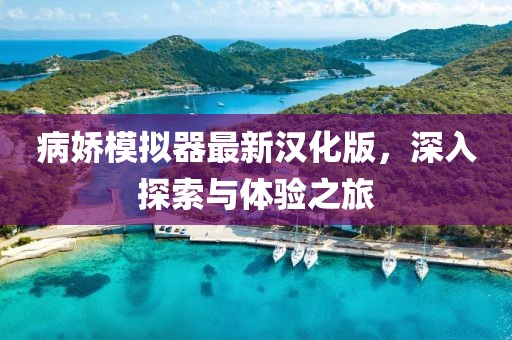 病嬌模擬器最新漢化版，深入探索與體驗(yàn)之旅