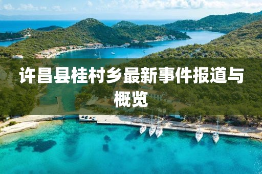 許昌縣桂村鄉(xiāng)最新事件報(bào)道與概覽