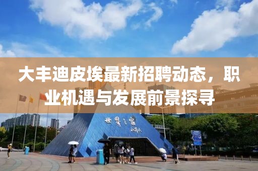 大豐迪皮埃最新招聘動態(tài)，職業(yè)機遇與發(fā)展前景探尋