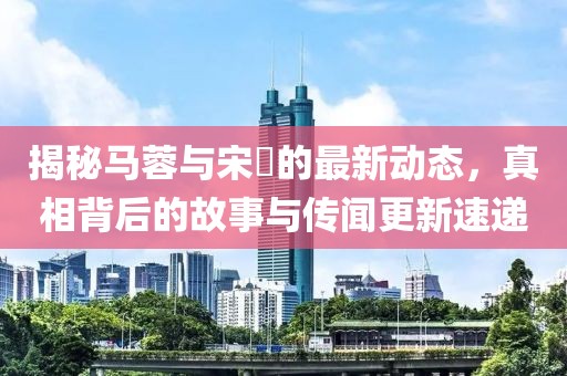 揭秘馬蓉與宋喆的最新動(dòng)態(tài)，真相背后的故事與傳聞更新速遞