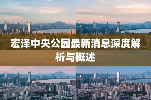 宏澤中央公園最新消息深度解析與概述