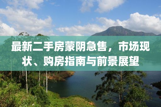 最新二手房蒙陰急售，市場現(xiàn)狀、購房指南與前景展望