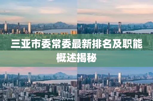 三亞市委常委最新排名及職能概述揭秘