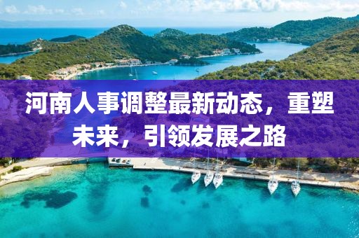 河南人事調(diào)整最新動態(tài)，重塑未來，引領發(fā)展之路