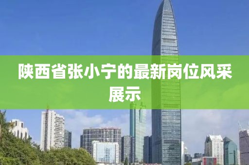 陜西省張小寧的最新崗位風(fēng)采展示