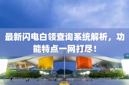 最新閃電白領(lǐng)查詢系統(tǒng)解析，功能特點(diǎn)一網(wǎng)打盡！