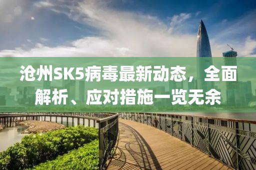 滄州SK5病毒最新動態(tài)，全面解析、應(yīng)對措施一覽無余