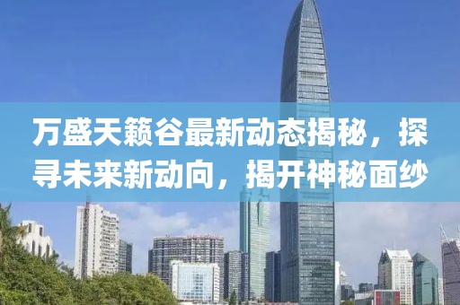 萬盛天籟谷最新動態(tài)揭秘，探尋未來新動向，揭開神秘面紗
