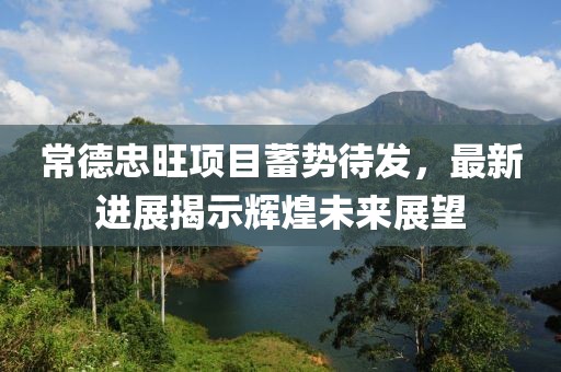 常德忠旺項目蓄勢待發(fā)，最新進展揭示輝煌未來展望