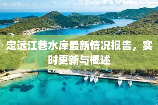 定遠(yuǎn)江巷水庫最新情況報(bào)告，實(shí)時(shí)更新與概述