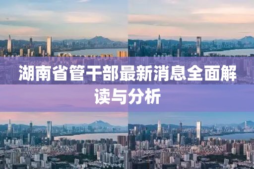 湖南省管干部最新消息全面解讀與分析