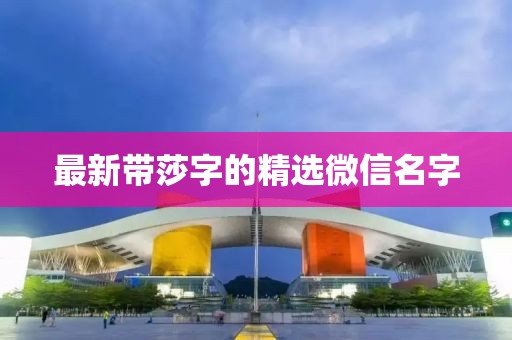 最新帶莎字的精選微信名字