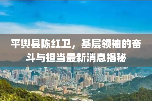 平輿縣陳紅衛(wèi)，基層領(lǐng)袖的奮斗與擔當最新消息揭秘