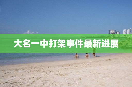 大名一中打架事件最新進展