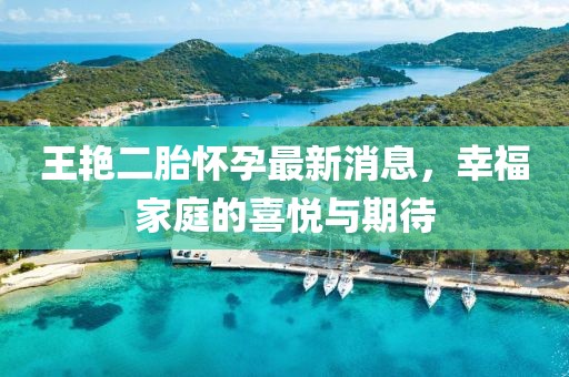 王艷二胎懷孕最新消息，幸福家庭的喜悅與期待