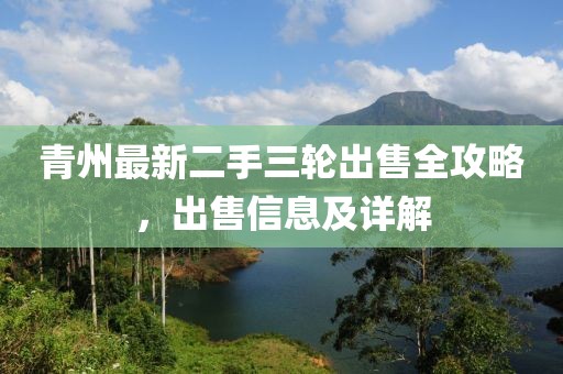 青州最新二手三輪出售全攻略，出售信息及詳解