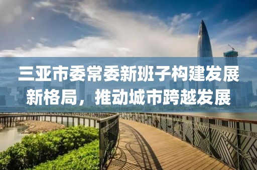 三亞市委常委新班子構(gòu)建發(fā)展新格局，推動城市跨越發(fā)展