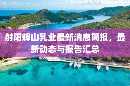 射陽輝山乳業(yè)最新消息簡報(bào)，最新動(dòng)態(tài)與報(bào)告匯總