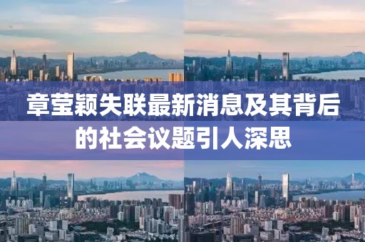 章瑩穎失聯(lián)最新消息及其背后的社會議題引人深思