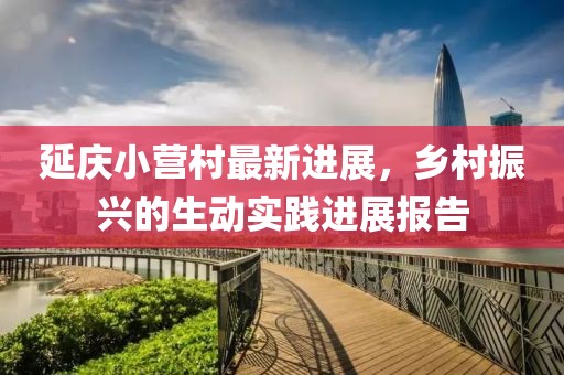 延慶小營村最新進展，鄉(xiāng)村振興的生動實踐進展報告