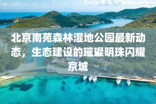 北京南苑森林濕地公園最新動(dòng)態(tài)，生態(tài)建設(shè)的璀璨明珠閃耀京城