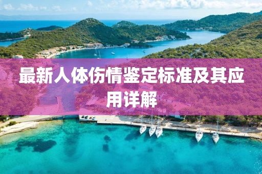 最新人體傷情鑒定標(biāo)準(zhǔn)及其應(yīng)用詳解