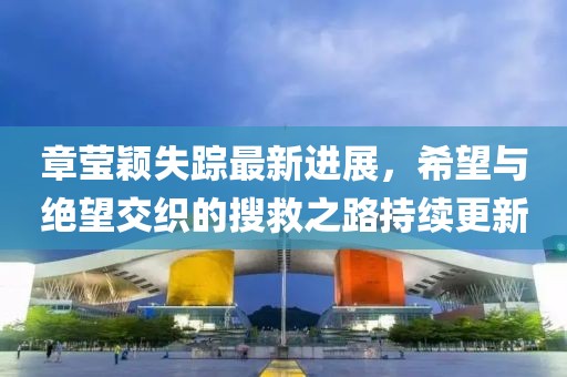 章瑩穎失蹤最新進展，希望與絕望交織的搜救之路持續(xù)更新