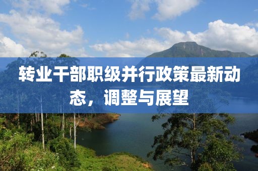 轉(zhuǎn)業(yè)干部職級并行政策最新動態(tài)，調(diào)整與展望