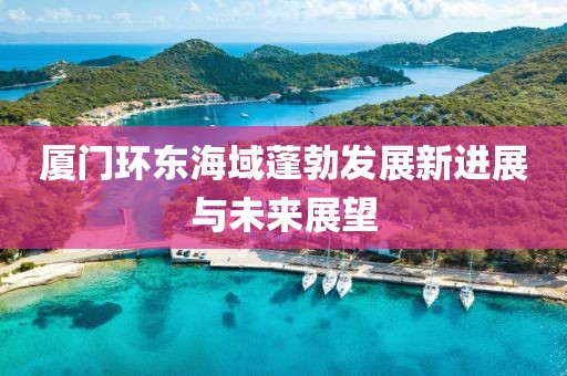 廈門環(huán)東海域蓬勃發(fā)展新進(jìn)展與未來展望