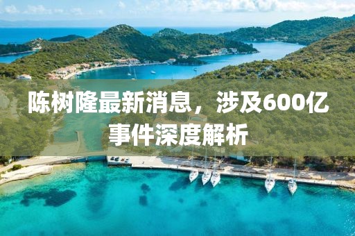 陳樹隆最新消息，涉及600億事件深度解析