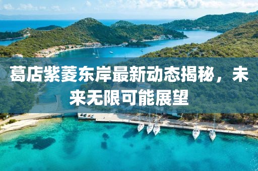葛店紫菱東岸最新動(dòng)態(tài)揭秘，未來(lái)無(wú)限可能展望
