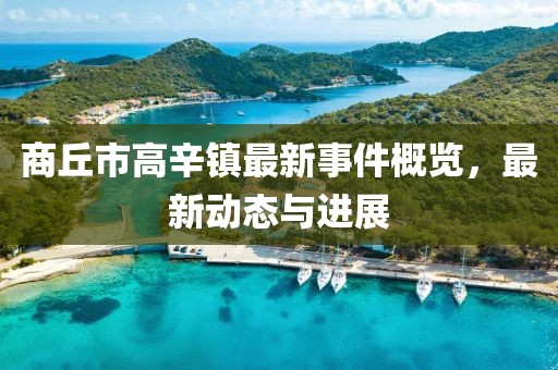 商丘市高辛鎮(zhèn)最新事件概覽，最新動(dòng)態(tài)與進(jìn)展