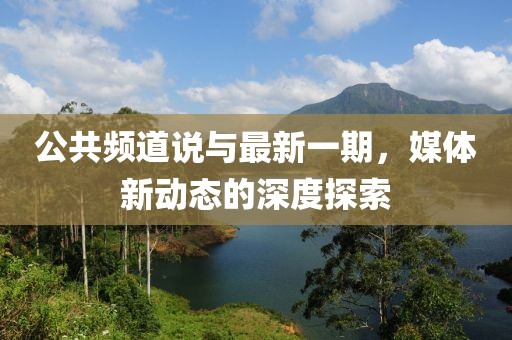 公共頻道說與最新一期，媒體新動態(tài)的深度探索