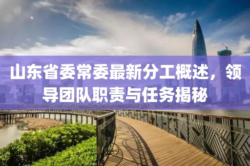 山東省委常委最新分工概述，領(lǐng)導(dǎo)團隊職責與任務(wù)揭秘