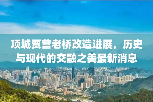 項(xiàng)城賈營老橋改造進(jìn)展，歷史與現(xiàn)代的交融之美最新消息