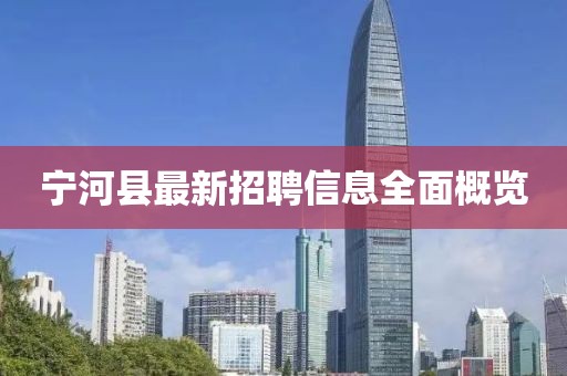 寧河縣最新招聘信息全面概覽