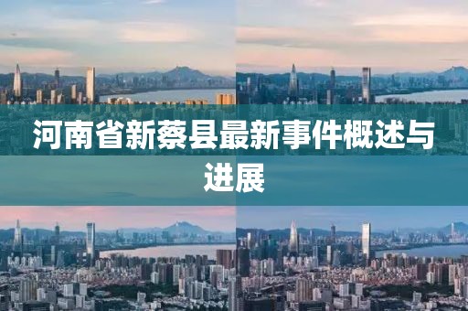 河南省新蔡縣最新事件概述與進(jìn)展