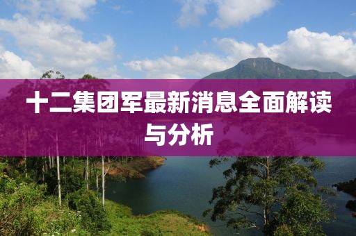 十二集團(tuán)軍最新消息全面解讀與分析