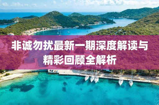 非誠勿擾最新一期深度解讀與精彩回顧全解析