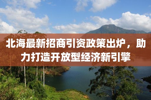 北海最新招商引資政策出爐，助力打造開放型經(jīng)濟(jì)新引擎