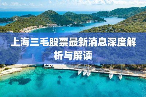 上海三毛股票最新消息深度解析與解讀