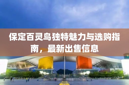 保定百靈鳥獨特魅力與選購指南，最新出售信息